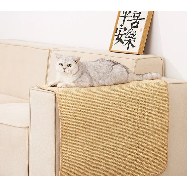 Griffoir chat | Tapis