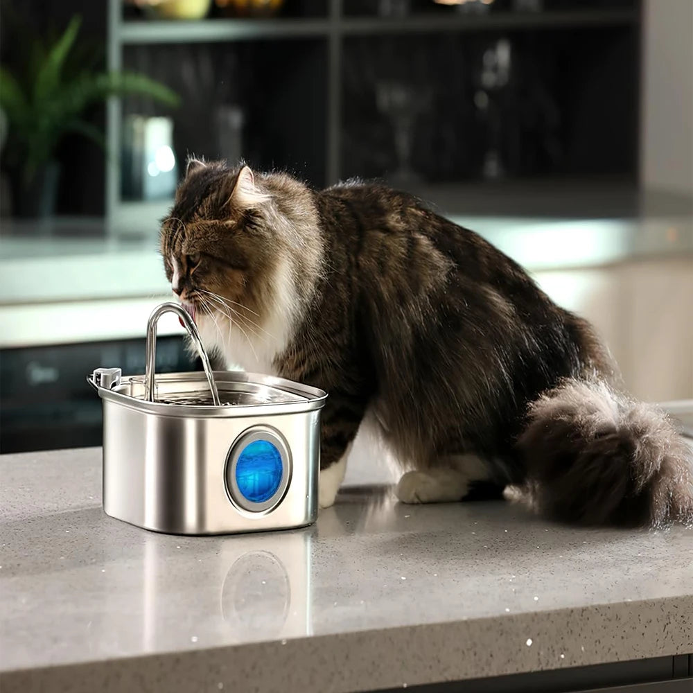 Fontaine à eau chat | Carree