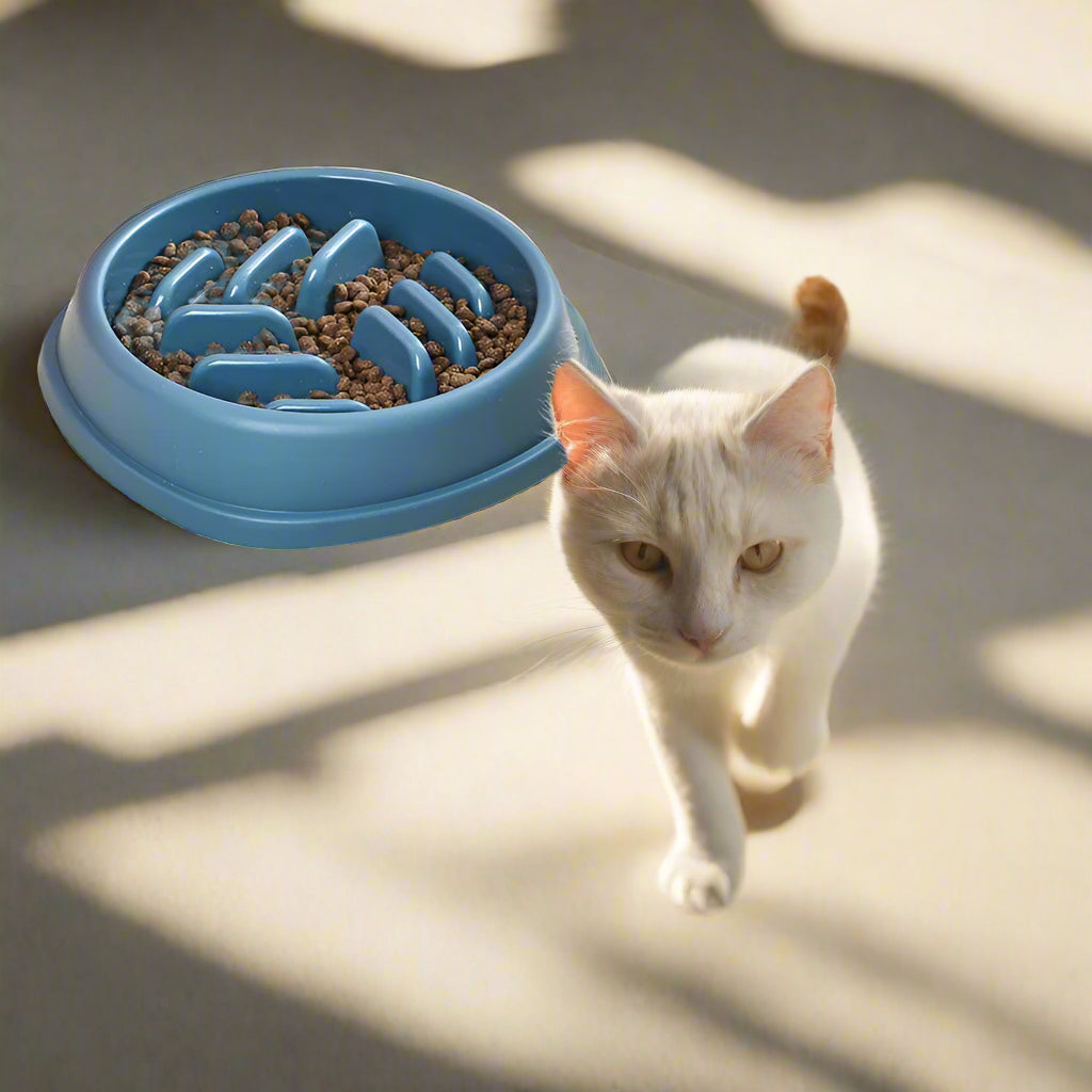 Gamelle Anti Glouton Chat | Barrettes