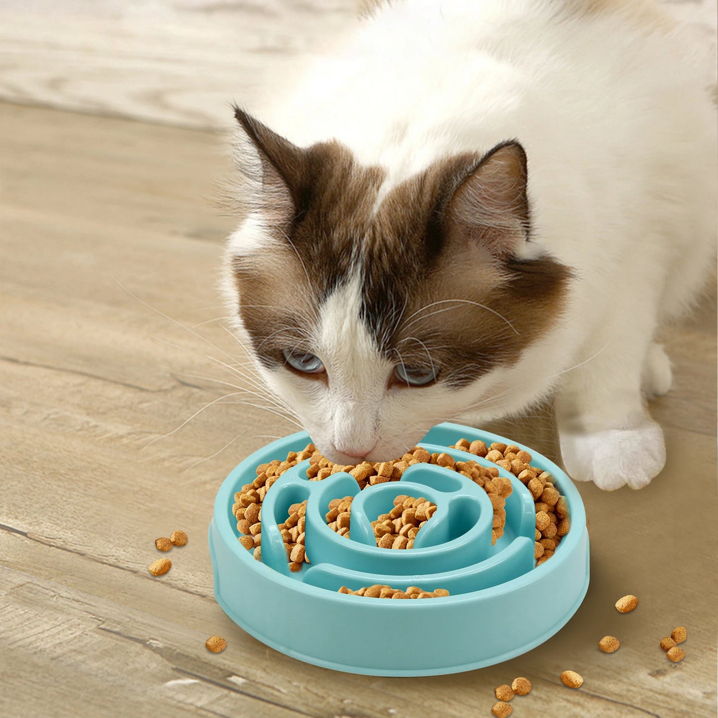gamelle anti glouton chat | Topissimo