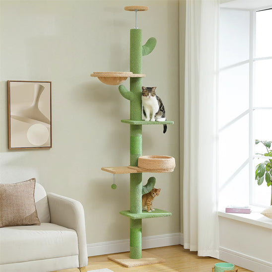 Arbre A chat design | Cactus