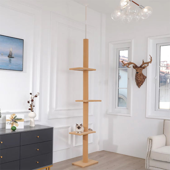 Arbre A chat design | Cactus