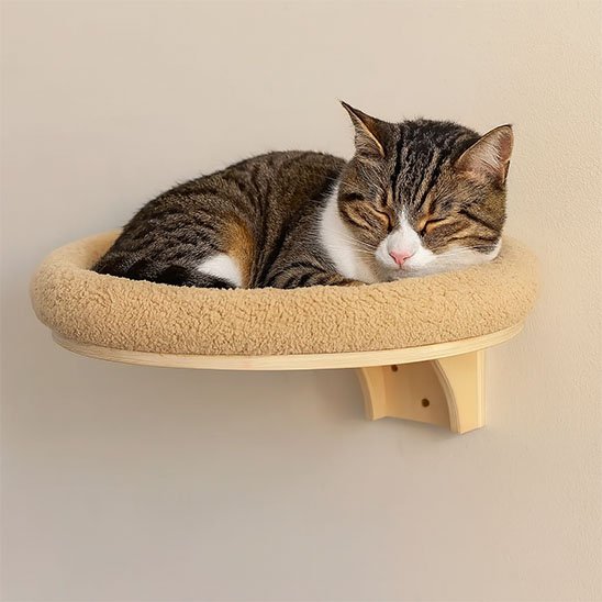 arbre A chat bois coussin repos
