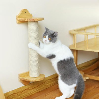 Corde arbre a chat