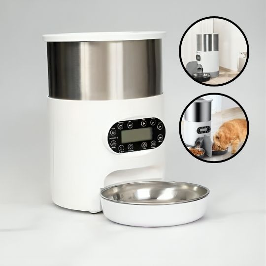 Distributeur croquette chat automatique | Simple bol