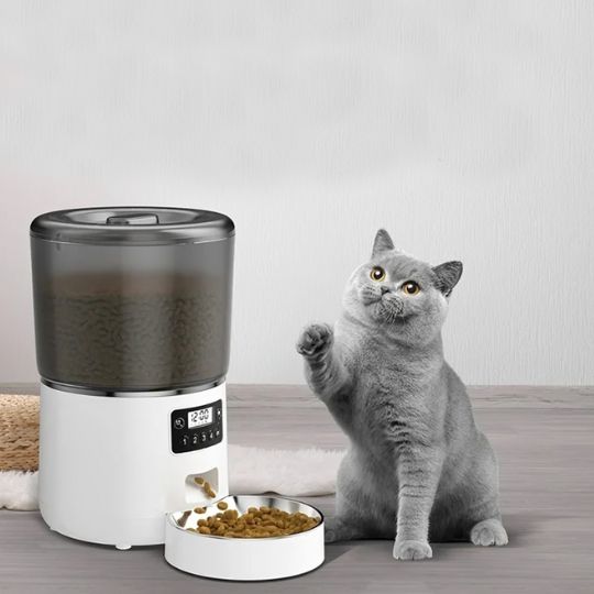 Distributeur automatique croquettes chat | Ronde