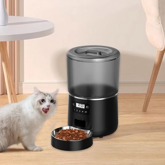 Distributeur automatique croquettes chat | Ronde