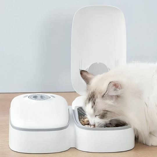 Distributeur automatique de croquettes pour chat | PetFeeder