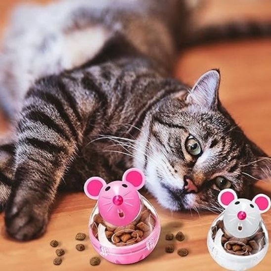 distributeur croquette chat allongé
