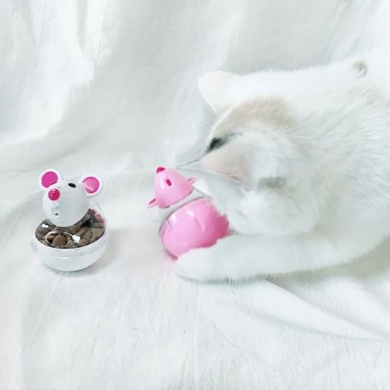 distributeur croquette chat joue souris rose et blanche