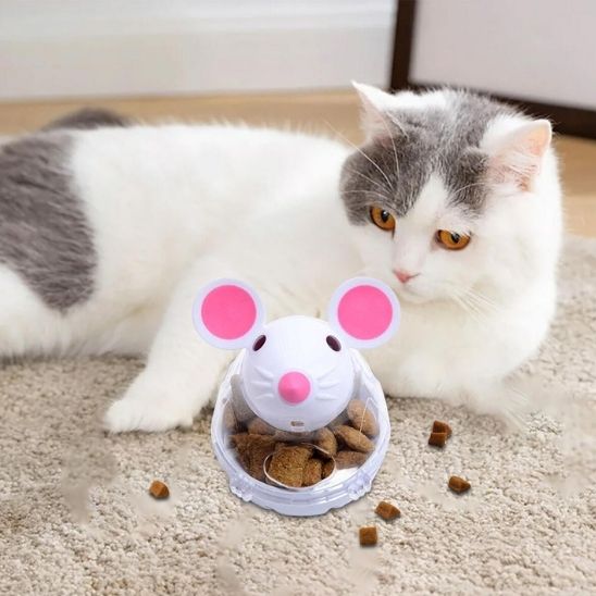 distributeur croquette chat couché