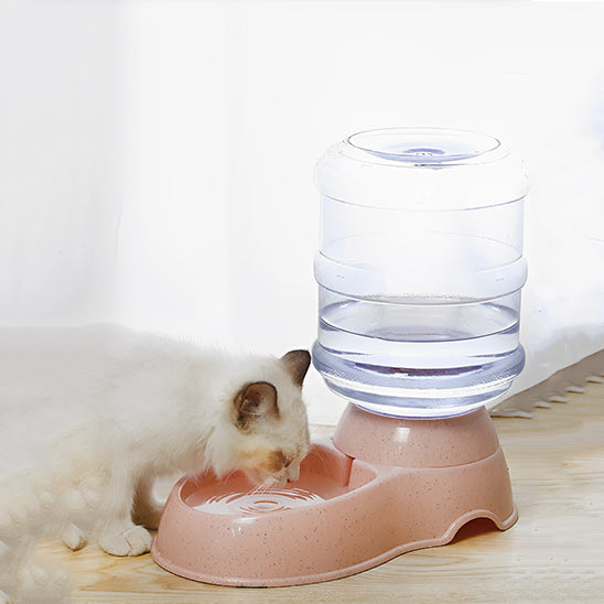 distributeur de croquettes pour chat boit