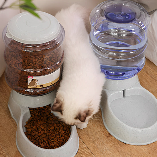 distributeur de coquettes pour chat grises avec un chat qui va manger