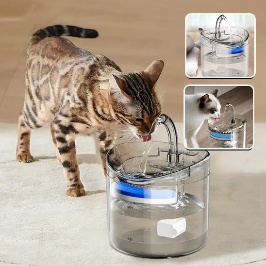 fontaine-a-chat-entierement-transparente
