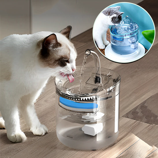 fontaine-a-chat-hydrater