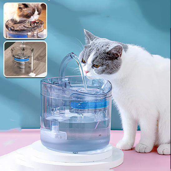 fontaine-a-chat-multichats