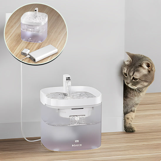 fontaine-pour-chat-bac-transparent