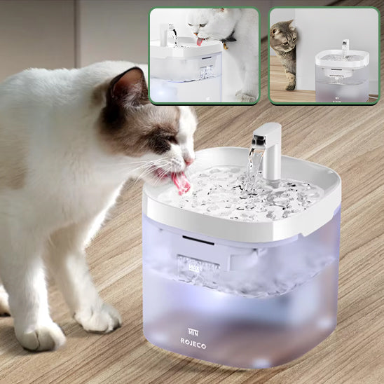 fontaine-pour-chat-filtre