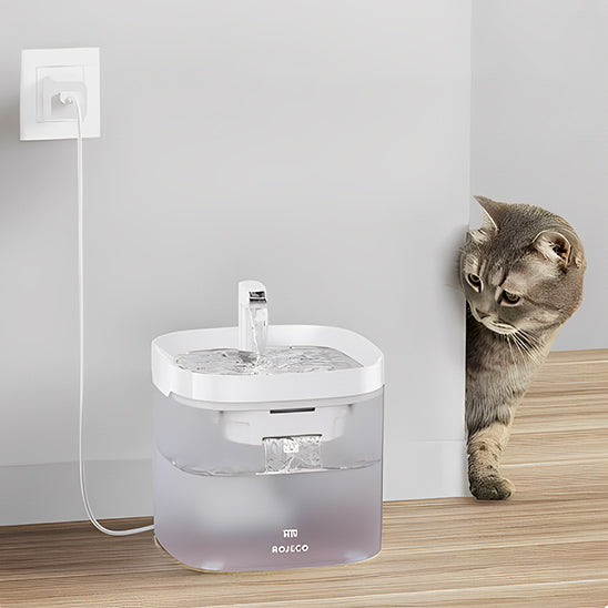 fontaine-pour-chat-installation-partout