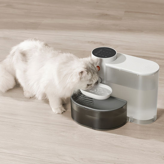 fontaine_a_eau_chat_basculante_chat agora