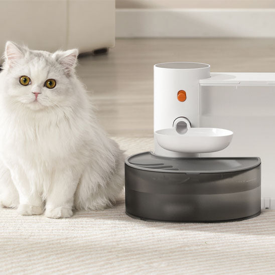 fontaine_a_eau_chat_basculante_chat assis