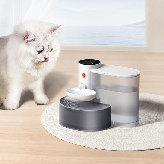 fontaine_a_eau_chat_basculante_chat leche babines