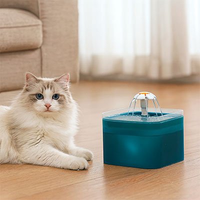 fontaine a eau chat blanc