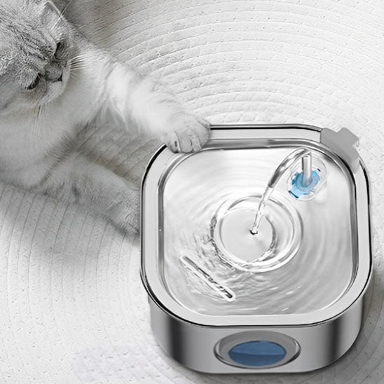 Fontaine à eau chat | Carree
