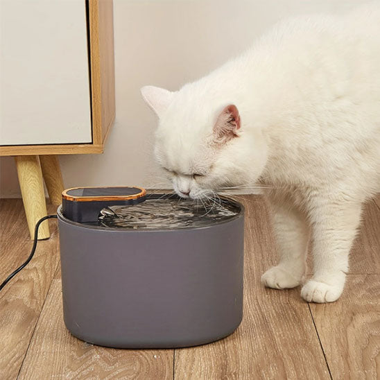 fontaine_a_eau_chat_moderne_boit blanc