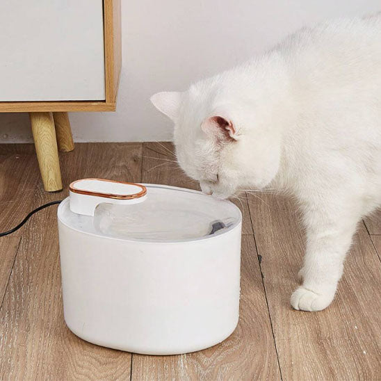 fontaine_a_eau_chat_moderne_chat blanc fontaine blanche