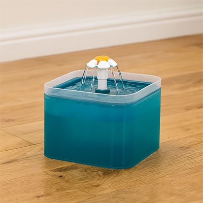fontaine a eau chat turquoise modele