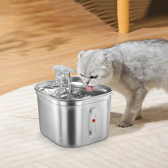 fontaine_a_eau_pour_chat_inox_avec bille