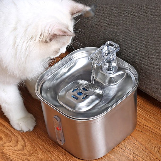 fontaine_a_eau_pour_chat_inox_eau qui coule
