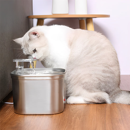 fontaine_a_eau_pour_chat_inox_robinet plastique