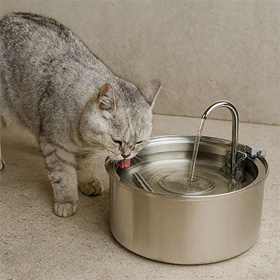 fontaine_chat_inox_moderne_chat boit
