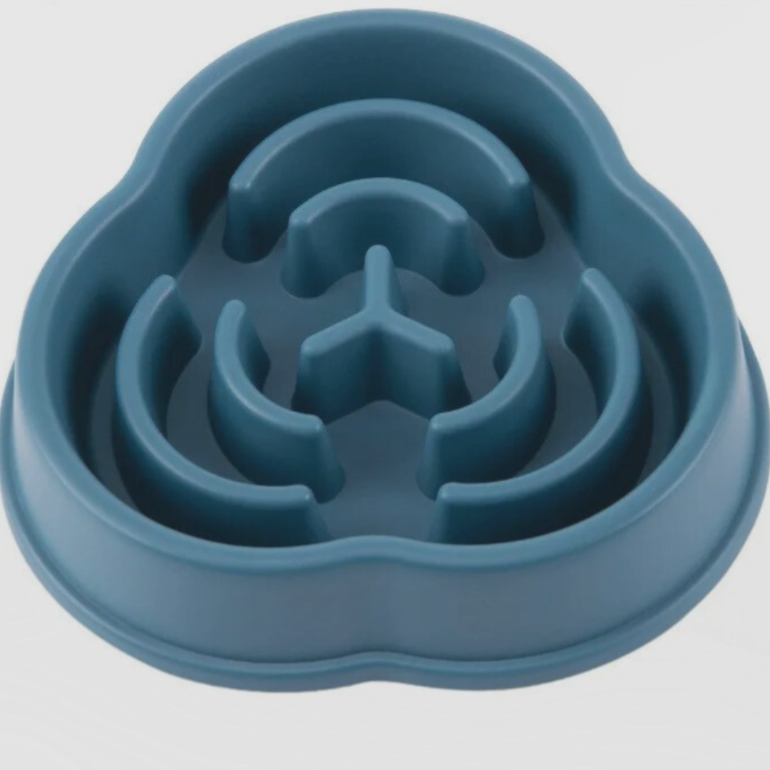gamelle-anti-glouton-bleue-labyrinthe