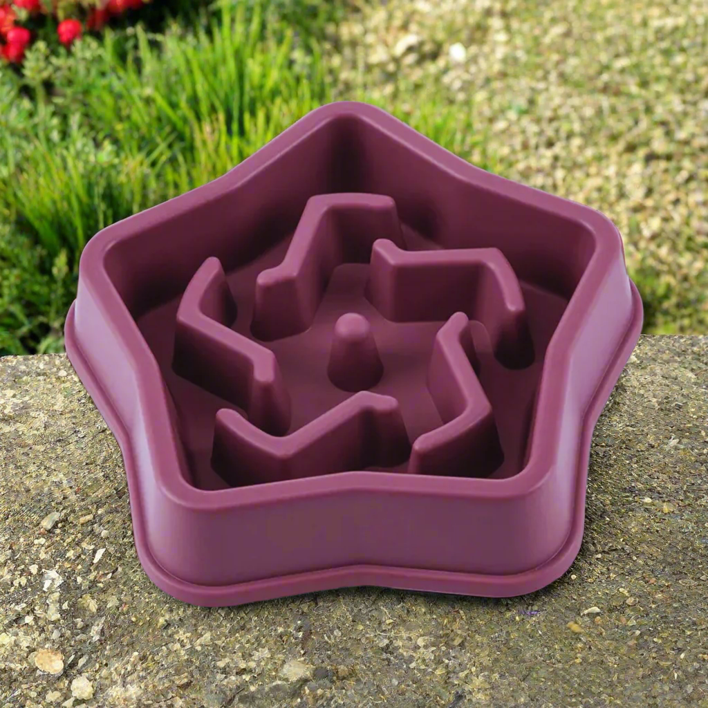 gamelle-anti-glouton-violette