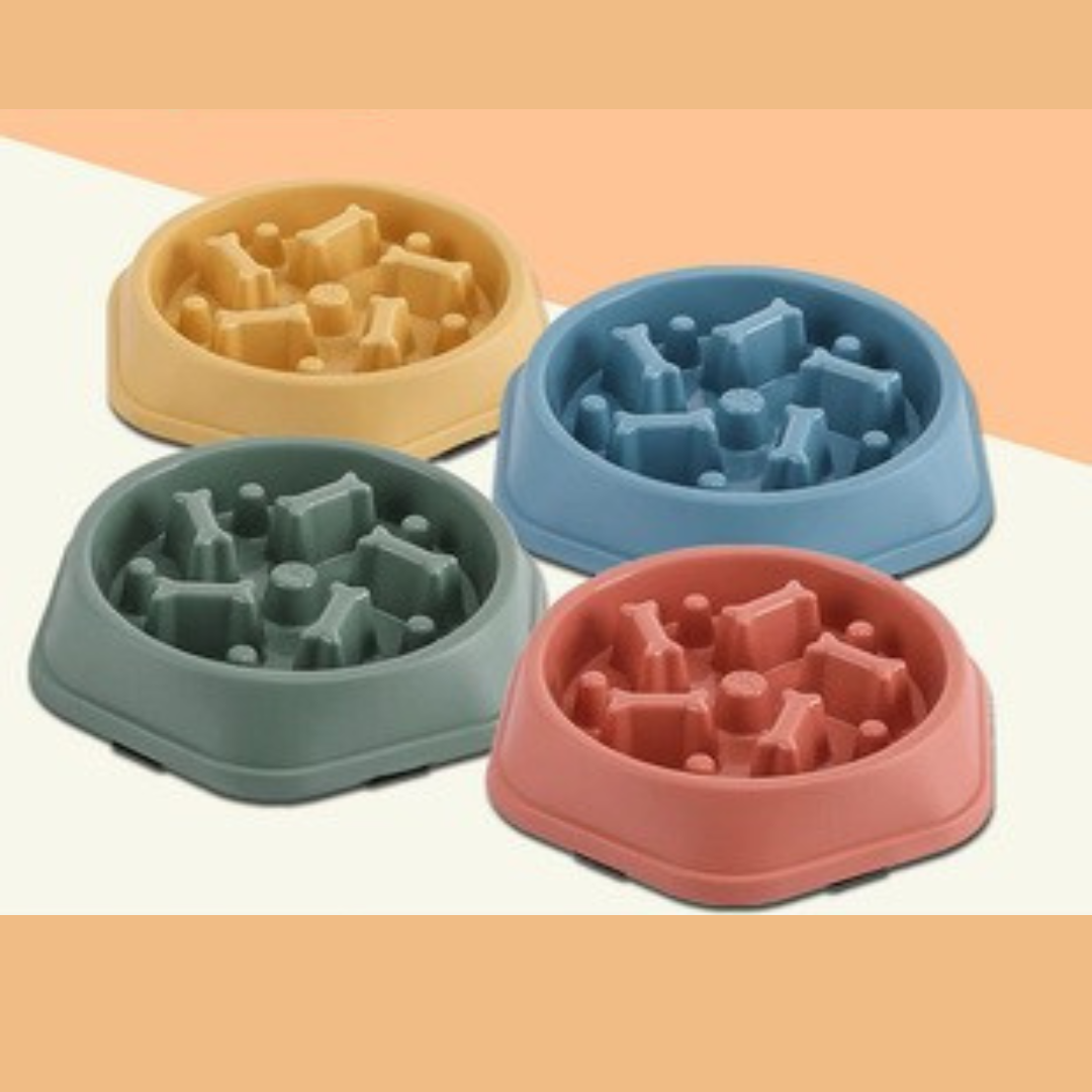 gamelle-anti-glouton-hexagonale-quatres-modÚles-agrébles-couleurs