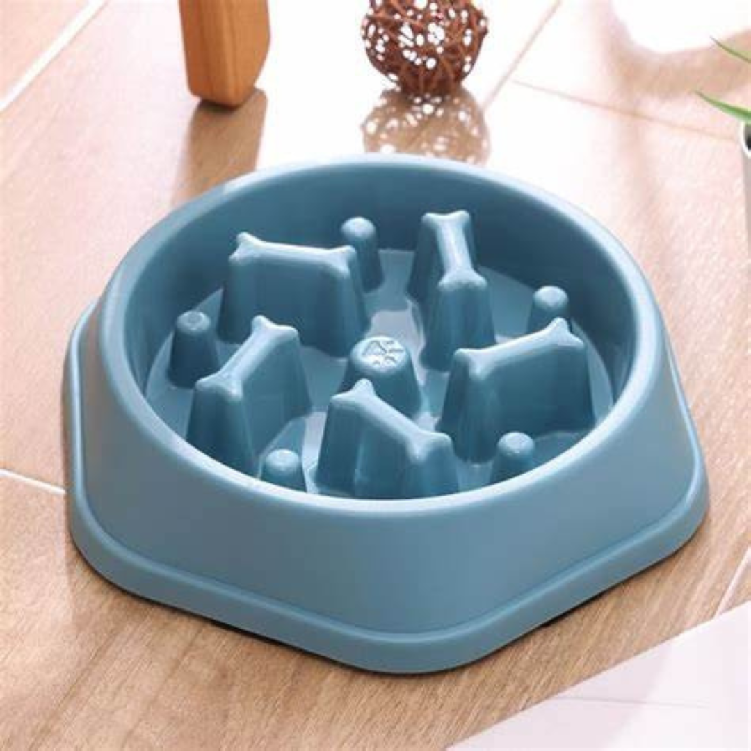 gamelle-anti-glouton-os-Bleue-cinq-barettes