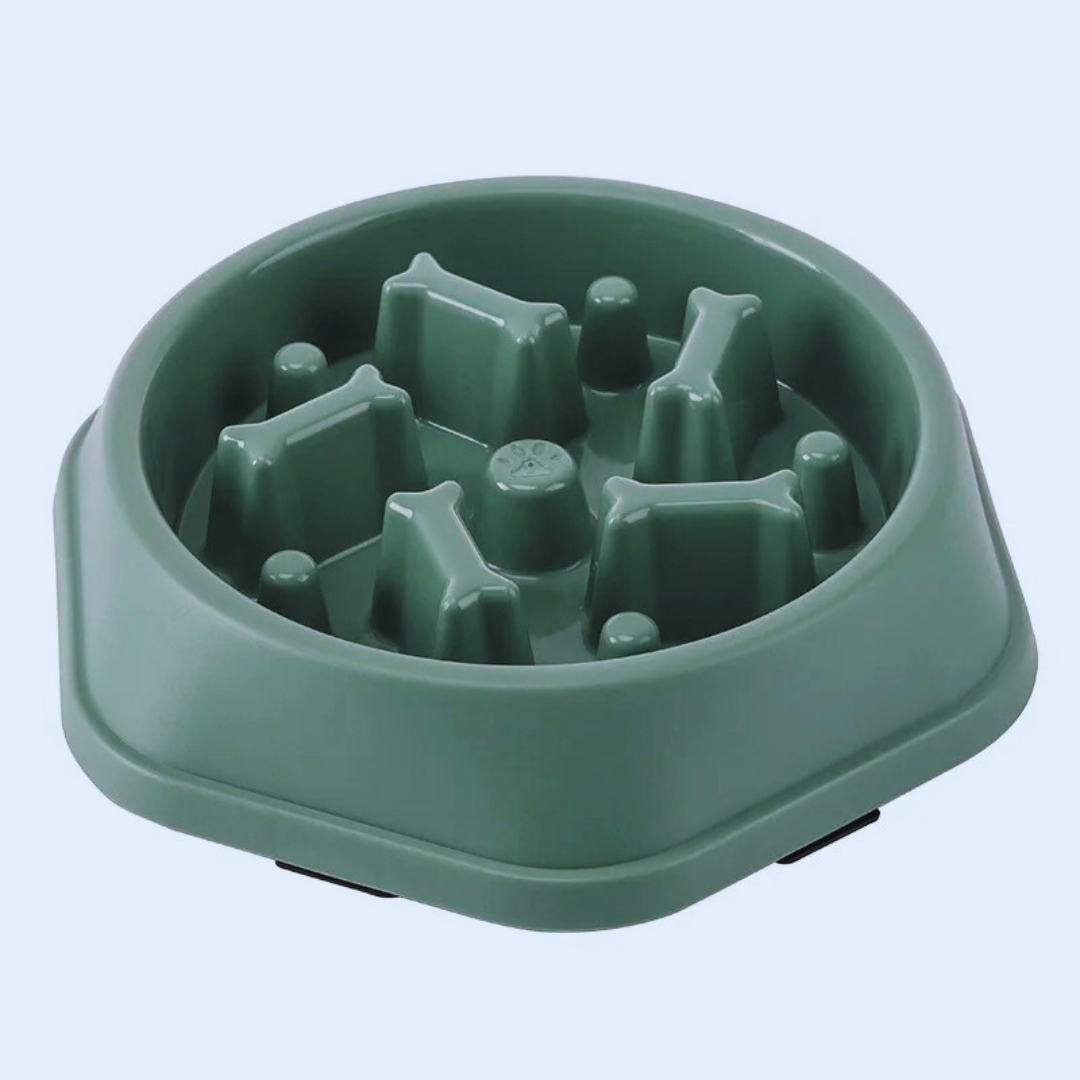 gamelle-anti-glouton-vert-Verte