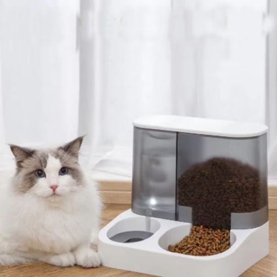gamelle-automatique-chat-présentation chat