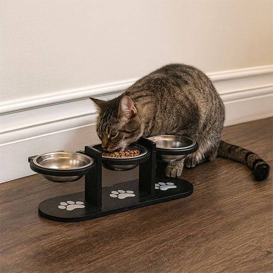 Gamelle Chat surélevée