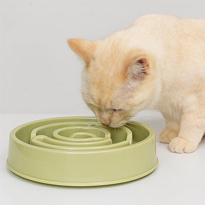 gamelle_anti_glouton_chat_Topissimo_chat blanc