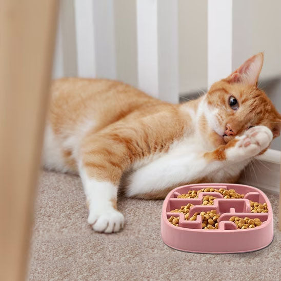 gamelle_anti_glouton_chat_labyrinthe_chat roux gamelle rose