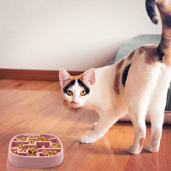 gamelle_anti_glouton_chat_labyrinthe_salon rose