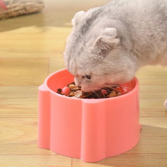 gamelle_anti_glouton_chat_rose_avec_des_croquettes mange