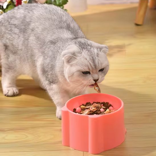 gamelle_anti_glouton_chat_salon chaleureux