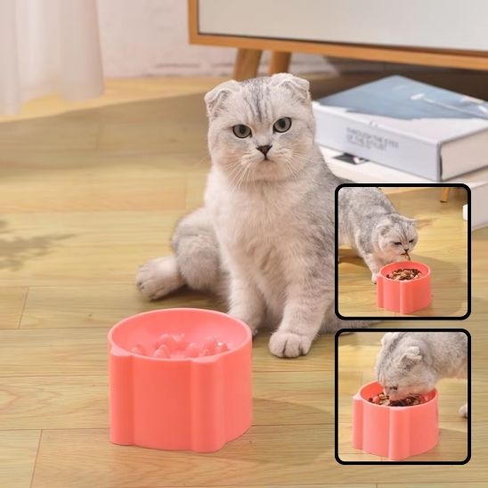 gamelle anti glouton chat assis