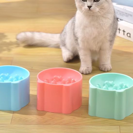 gamelle_anti_glouton_chat_trois_couleurs au choix
