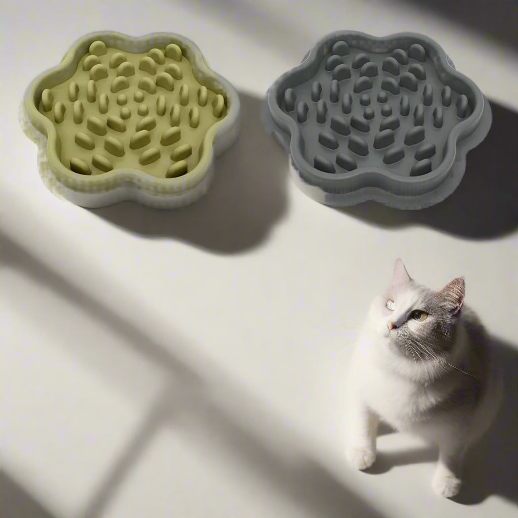 gamelle anti glouton pour chat étoile